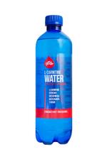 Напиток б/а тонизирующий "L-Carnitine water"Цитрус-Имбирь" 0,5 газ