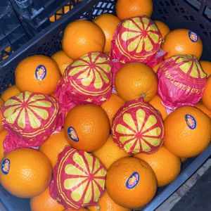 Апельсин импорт