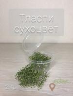 Тласпи сухоцвет Д Предметы D Items