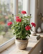 Опора для цветов Знатный САД Мини