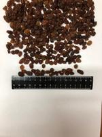 Изюм Аликант, Малояр, Бедона и тд