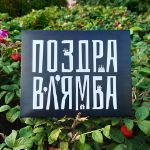 Дерзкий шоколадный набор "Поздравлямба" 710494