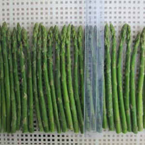 ЗАМОРОЖЕННАЯ ЗЕЛЕНАЯ СПАРЖА