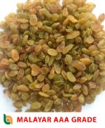 Bhandari Agro — exporters and Processors of Raisins and Indian Spices
