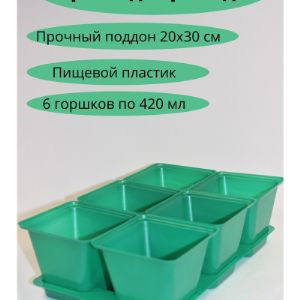 Набор горшков для рассады 420 мл 6 штук с выдвижным дном на поддоне зеленые. Изготовлено из пищевого пластика, многоразового использования.