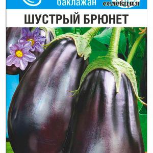 Баклажан  Шустрый Брюнет