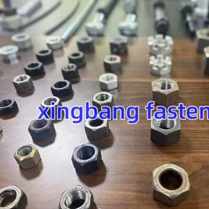 Hex Nuts