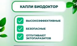 Ошейники и капли от блох с натуральными маслами