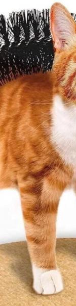 Когтеточка-чесалка для кошек