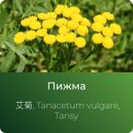 Пижмы экстракт сухой https://altai-extracts.ru/pizhma