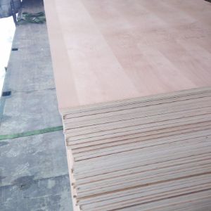 Фанера декоративная , покрытая натуральным шпоном Бука
БУК [BEECH]
Ботаническое название: Fagus sylvatica.