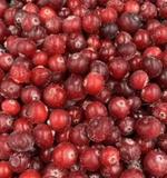 Клюква (дикая)