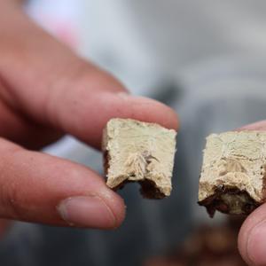 Легкое говяжье кубики