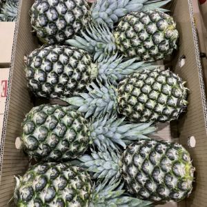 Pineapple 🍍
Frozen, Dried, Canned and Popsicle.

Ананас 🍍 
Замороженный, сушёный, консервированный и эскимо.