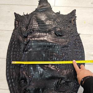 Кожа крокодила