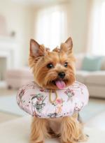 Защитный воротник в ассортименте Федины Друзья S