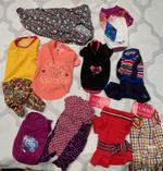 Одежда для животных весна-лето.