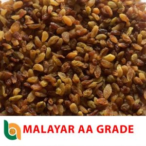 Malayar Grade AA