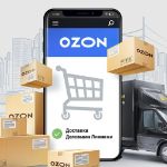 "Деловые Линии" стали партнёром Ozon в сегменте доставки грузов по схеме rFBS