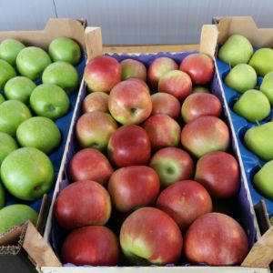 яблоко Сербия 1 класс урожай 2017
GREEN HILLS MARKET DOO