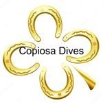 Copiosa Dives — производство одежды из качественных материалов