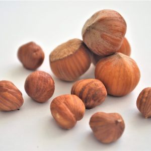 Орехи фундука