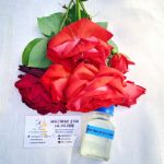 Духи Pink Molecule 090;09 Amina Parfums