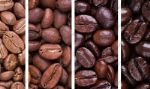 Кофе в зернах оптом и в розницу