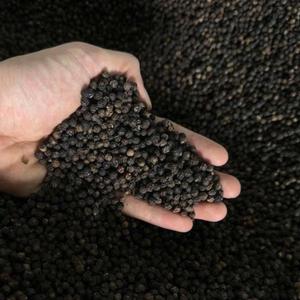 чёрный перец