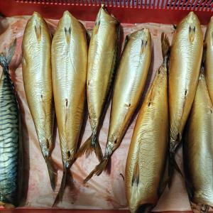 Скумбрия х/к