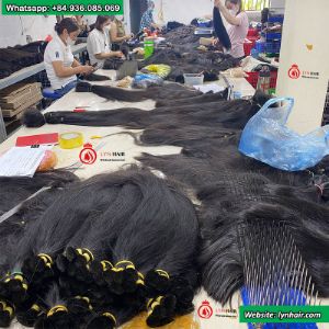 human hair supplier