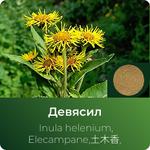Девясила экстракт сухой https://altai-extracts.ru/devyasil