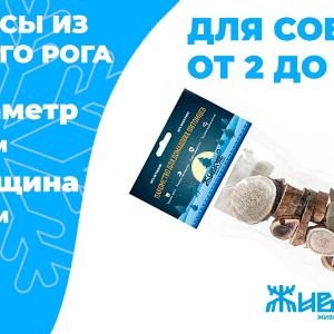 Чипсы из рога северного оленя для мелких пород собак, мелких грызунов