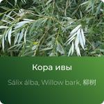 Ивы экстракт сухой https://www.altai-extracts.ru/kora-ivy
