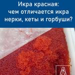 Красная икра на любой вкус и задачу — от "Айсберг 8"
