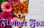 Магазин цветов Flower Fox — розничная торговля цветами и сувинирами
