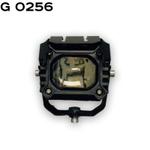 G0256 ZMB