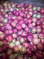 оптовая продажа яблок сетевого качества 1 2 сорта