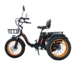 Kugoo Trike 750W 48V 15.6Ah