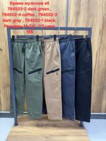 Брюки мужские Без бренда 794503 794502