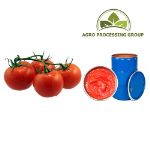 Томатная паста (концентрат) — Agro Processing Group