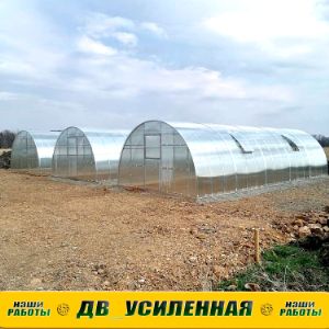 теплица ДВ Усиленная 4х10м