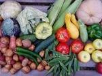 Овощи Юга — овощи оптом из юга России