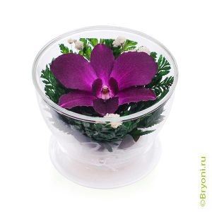 Композиция из орхидеи CUSO. Данная композиция состоит из натуральных орхидей, высушенных по специальной технологии, которая даёт возможность цветам сохранять свой свежий вид на несколько лет, в среднем 5. 