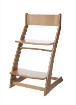 Растущий стул для детей ВАСИЛЕК-slim ВН-21Д01 ВН-21Д01