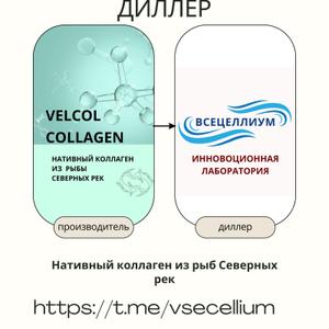 &#34;ВСЕЦЕЛЛИУМ&#34; ОФИЦИАЛЬНЫЙ ДИЛЛЕР КОМПАНИИ &#34;VELCOLCOLLAGEN&#34;. НА ВСЕЙ ТЕРИТОРИИ РОССИЙСКОЙ ФЕДЕРАЦИИ