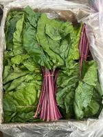 зелень оптом, от 30 кг, по низким ценам, доставка