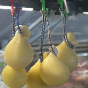 Качоковала