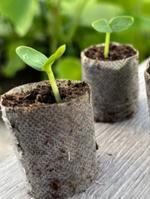 Торфяная пробка САФИТ-БИОХИМ