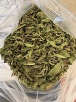 Мята сушеная (крупный лист), Иран Essentea